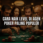 naik level agen poker
